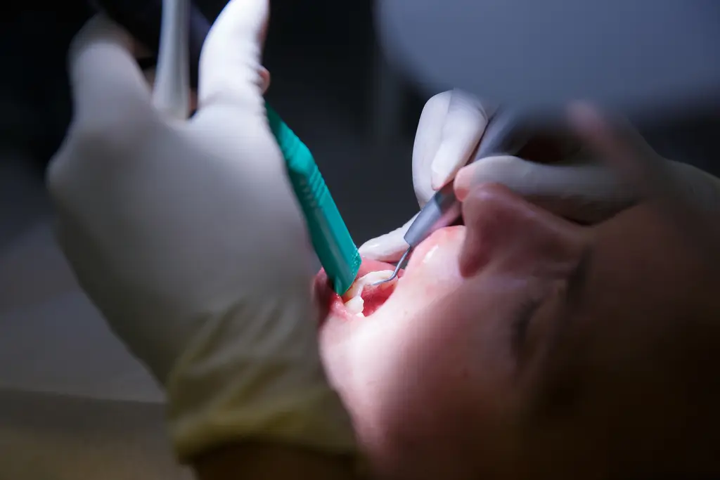 someone is getting their teeth brushed by a dentist